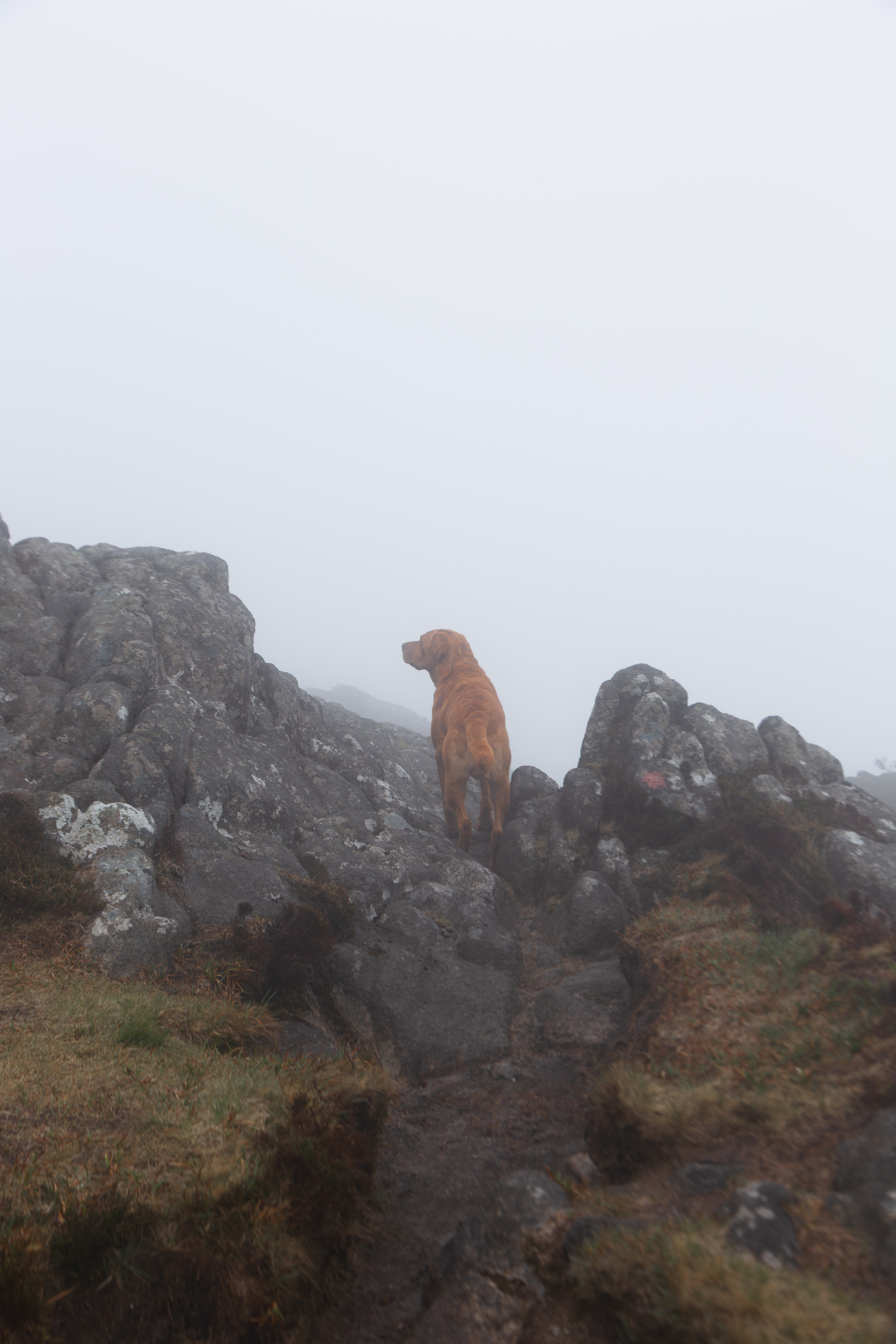 Rudi on An Sgurr