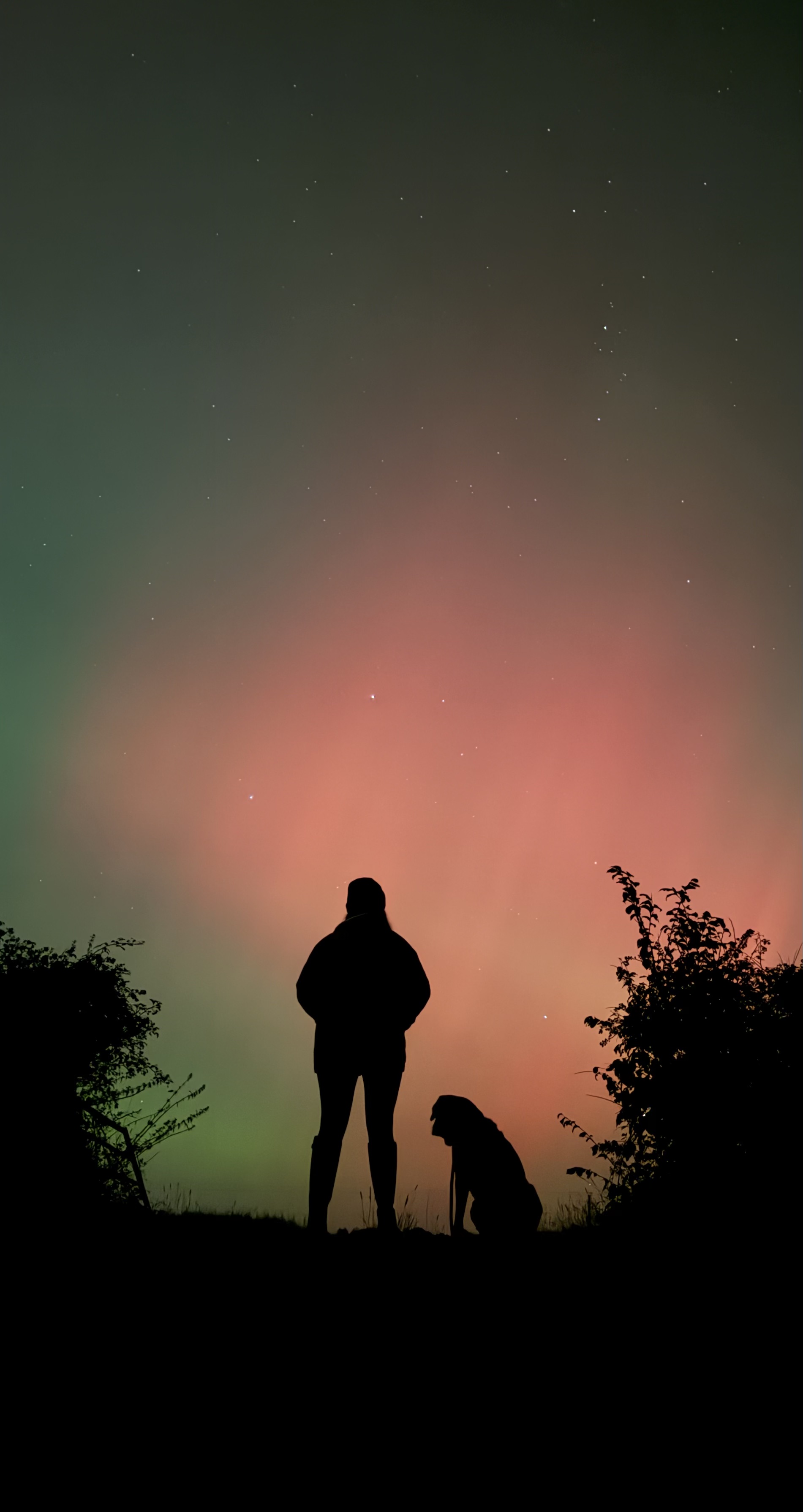 A woman and a dog as silhouettes on Aurora Borealis