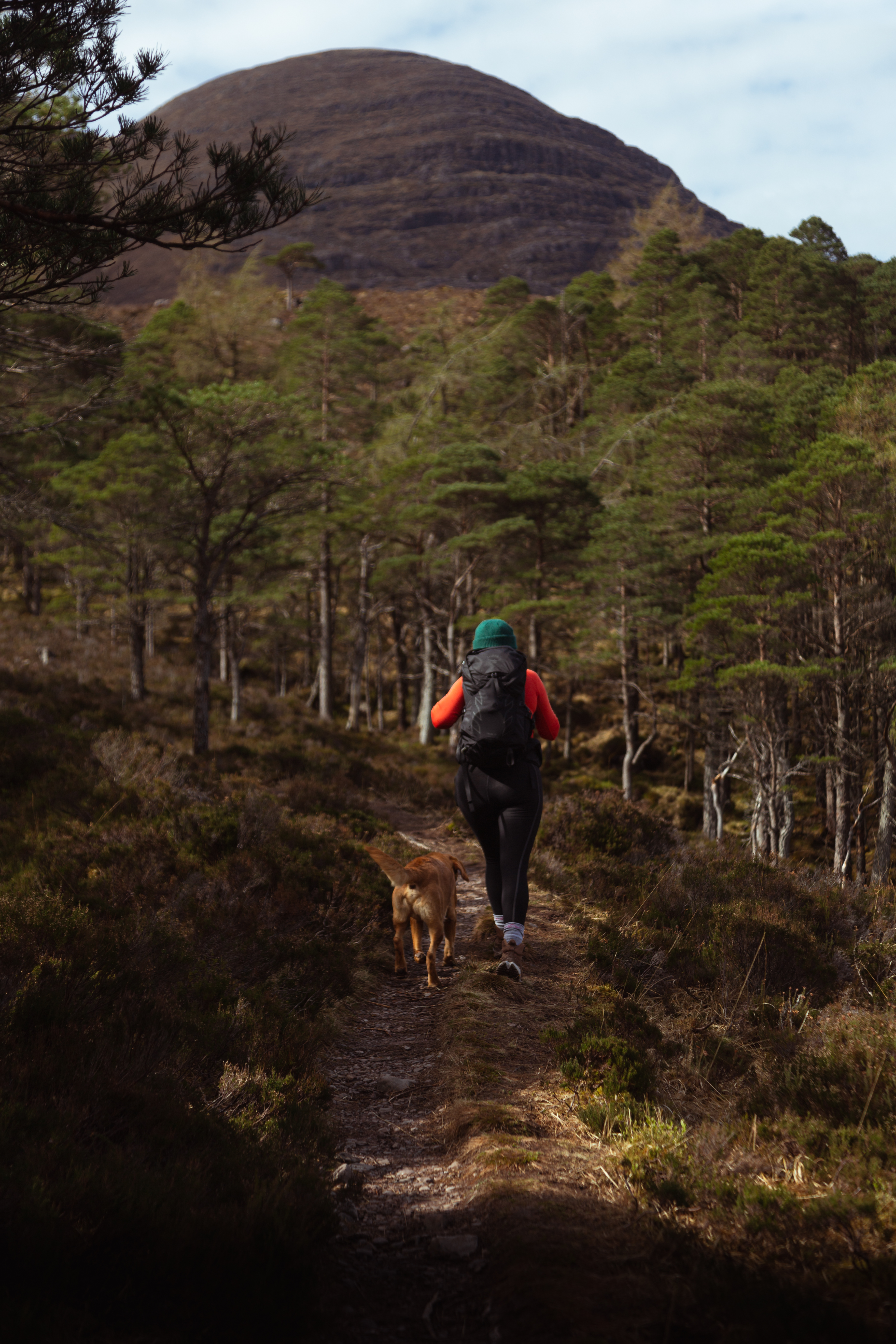 Kerry and Rudi walking through the Coille an t-Seana-Mhorair forest