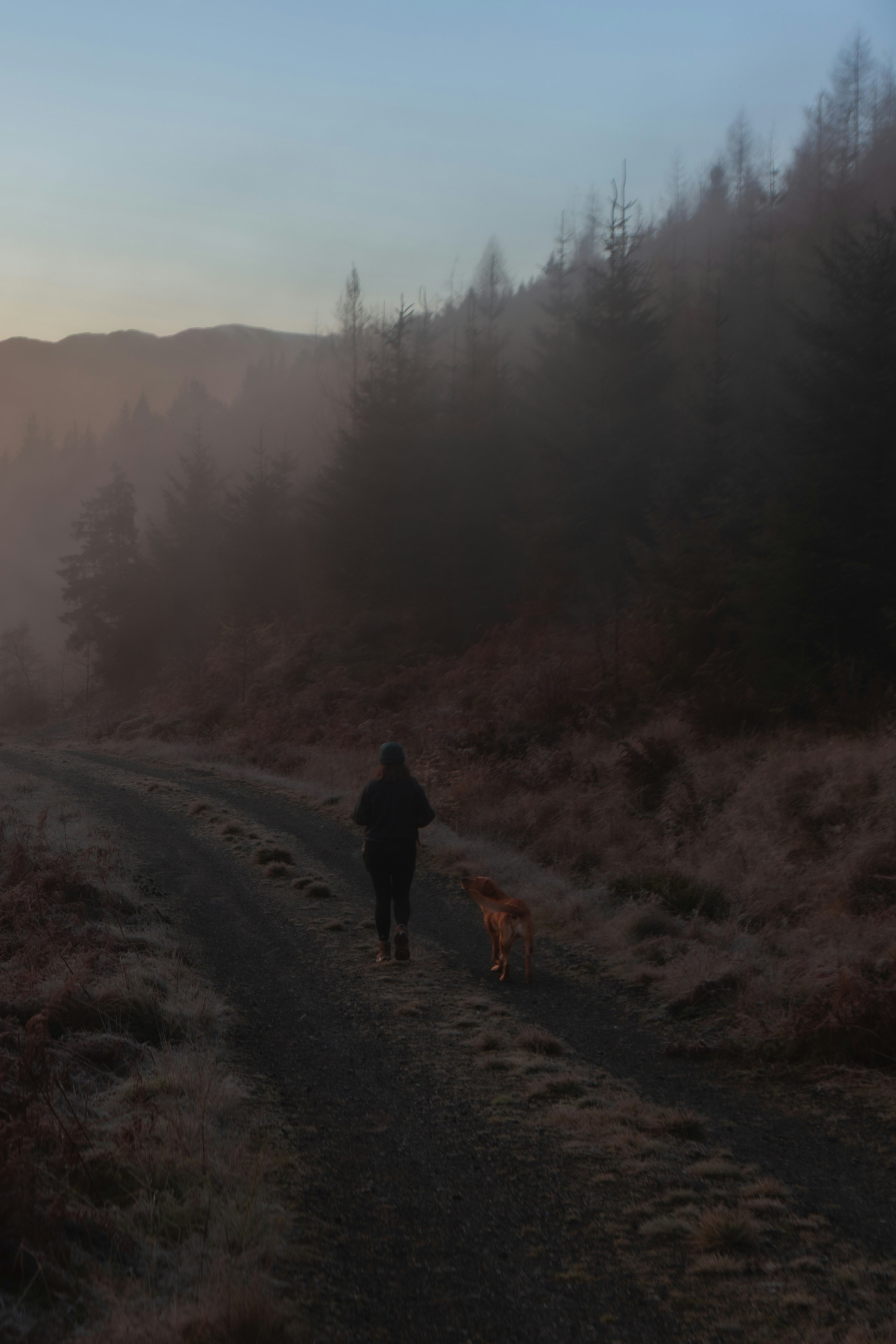Kerry and Rudi in the mist