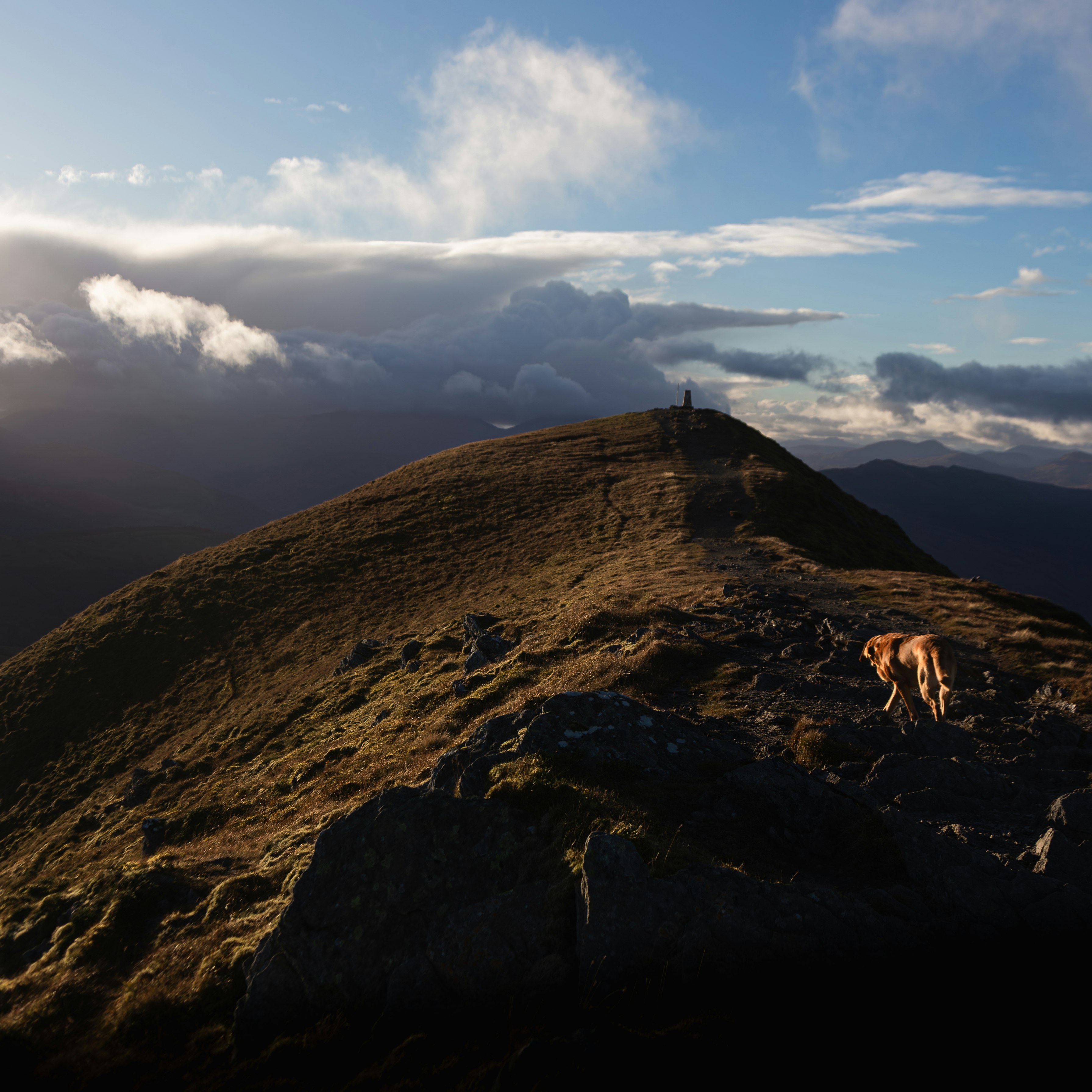 Rudi on Ben Vorlich