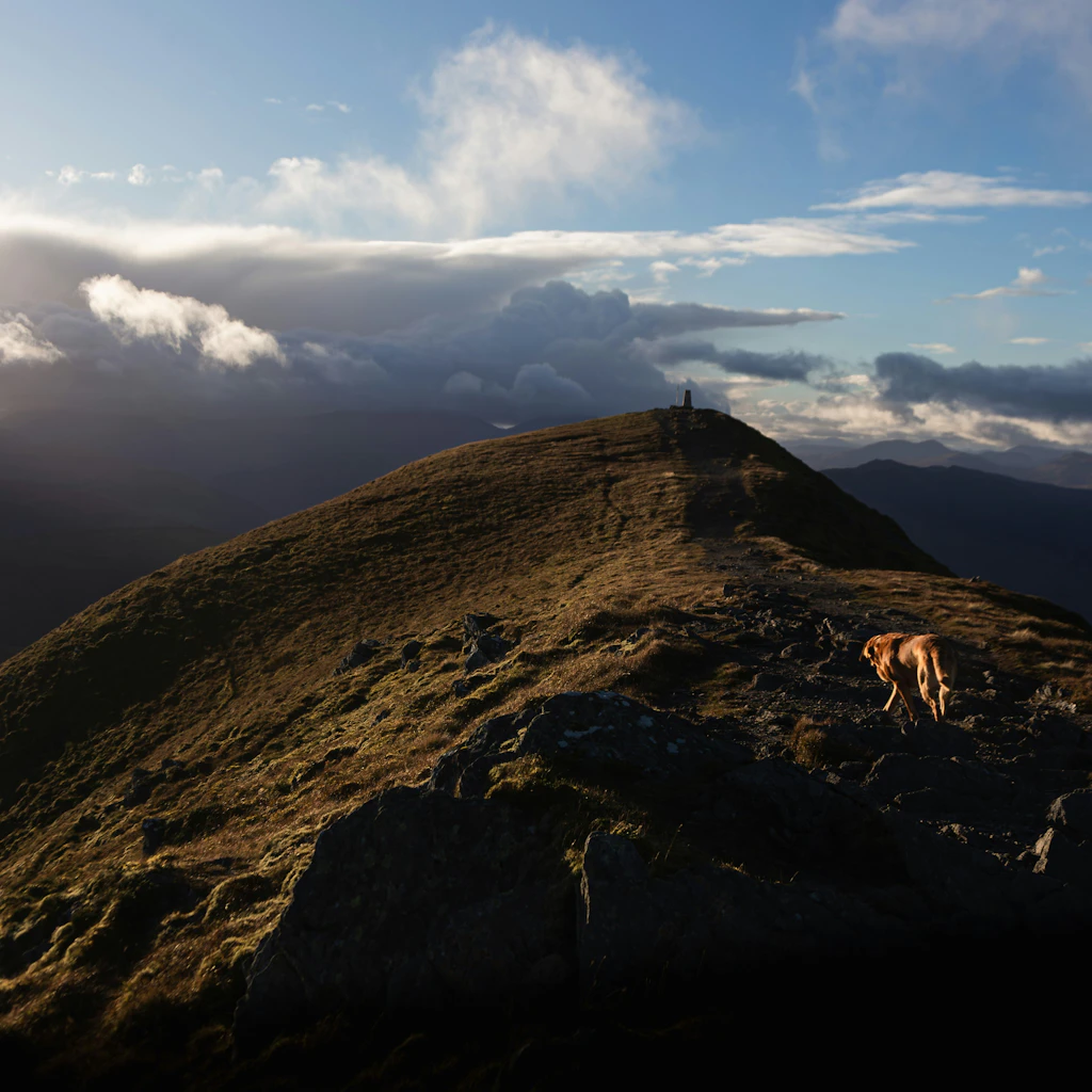 Rudi on Ben Vorlich