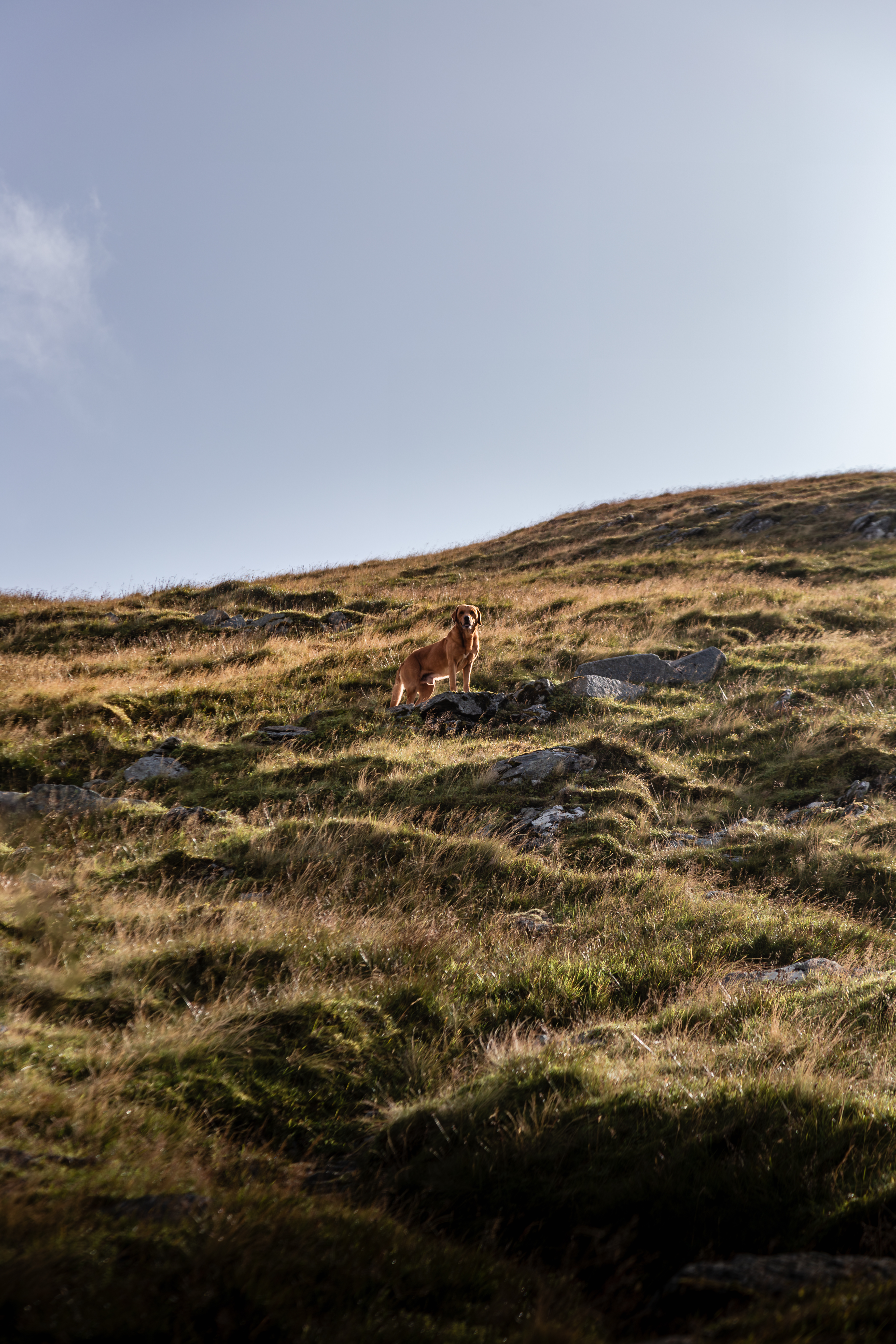 Rudi on Ben Lawers