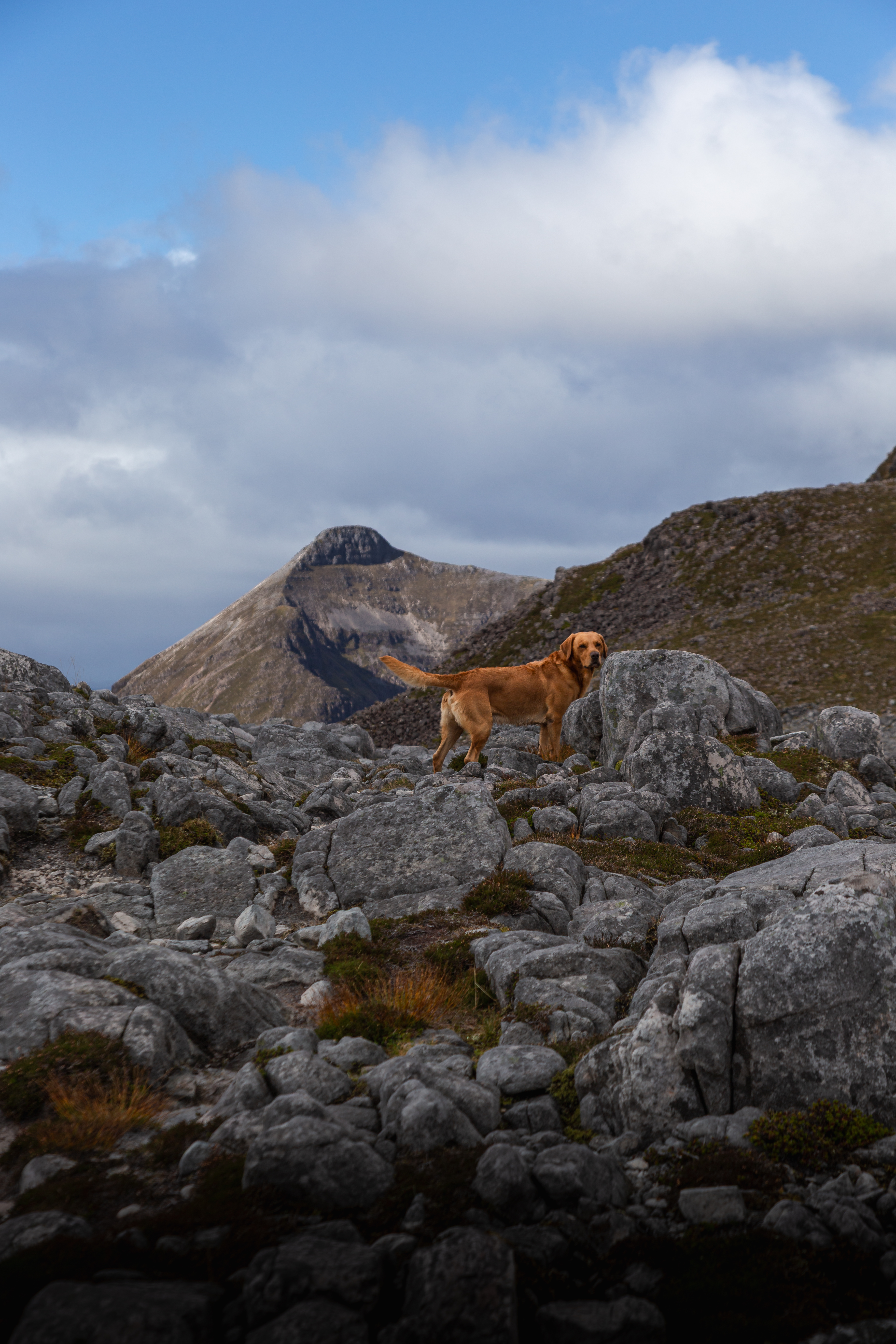 Rudi on Maol Chean-Dearg, with Ben Damph behind