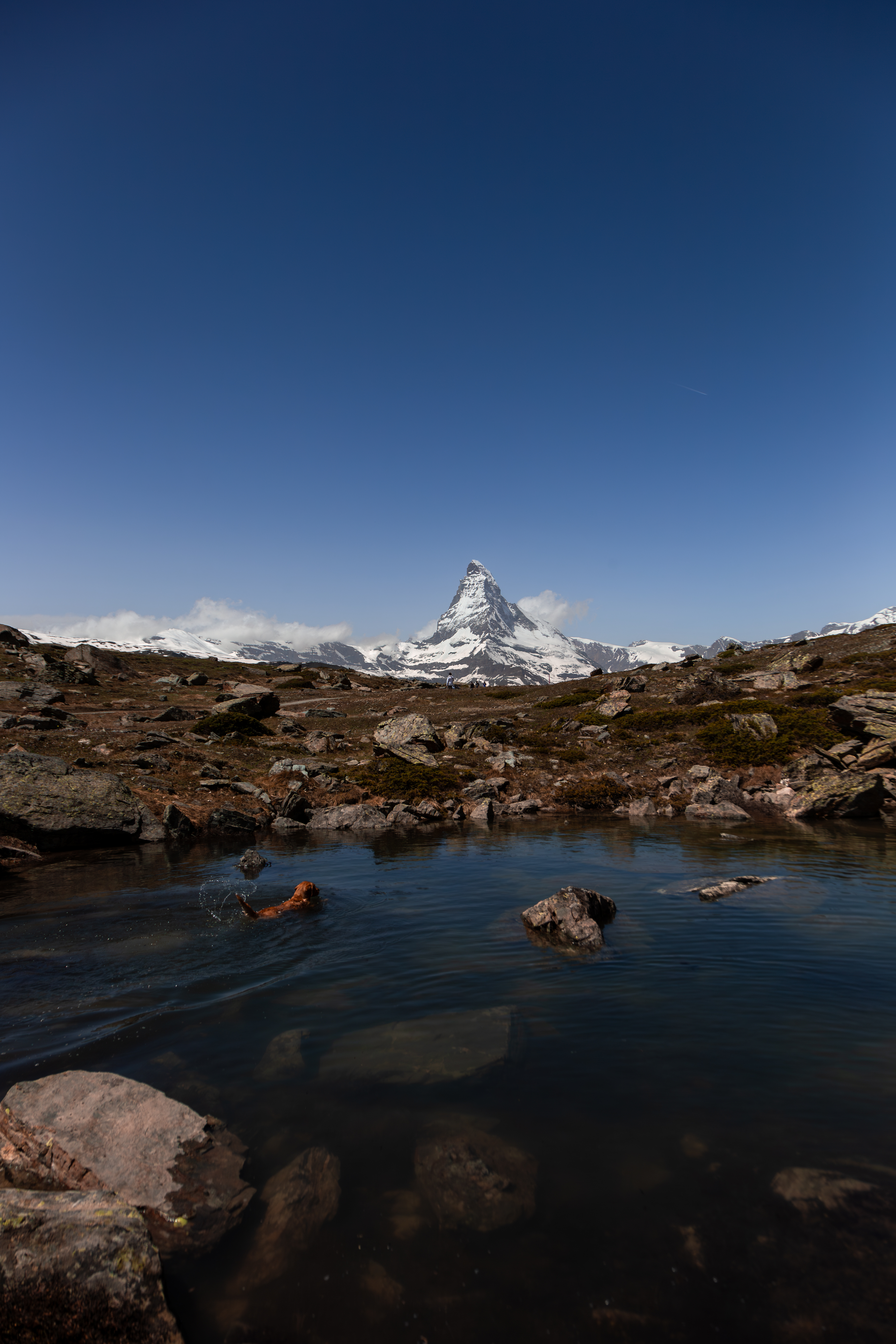 Rudi swimming below the Matterhorn