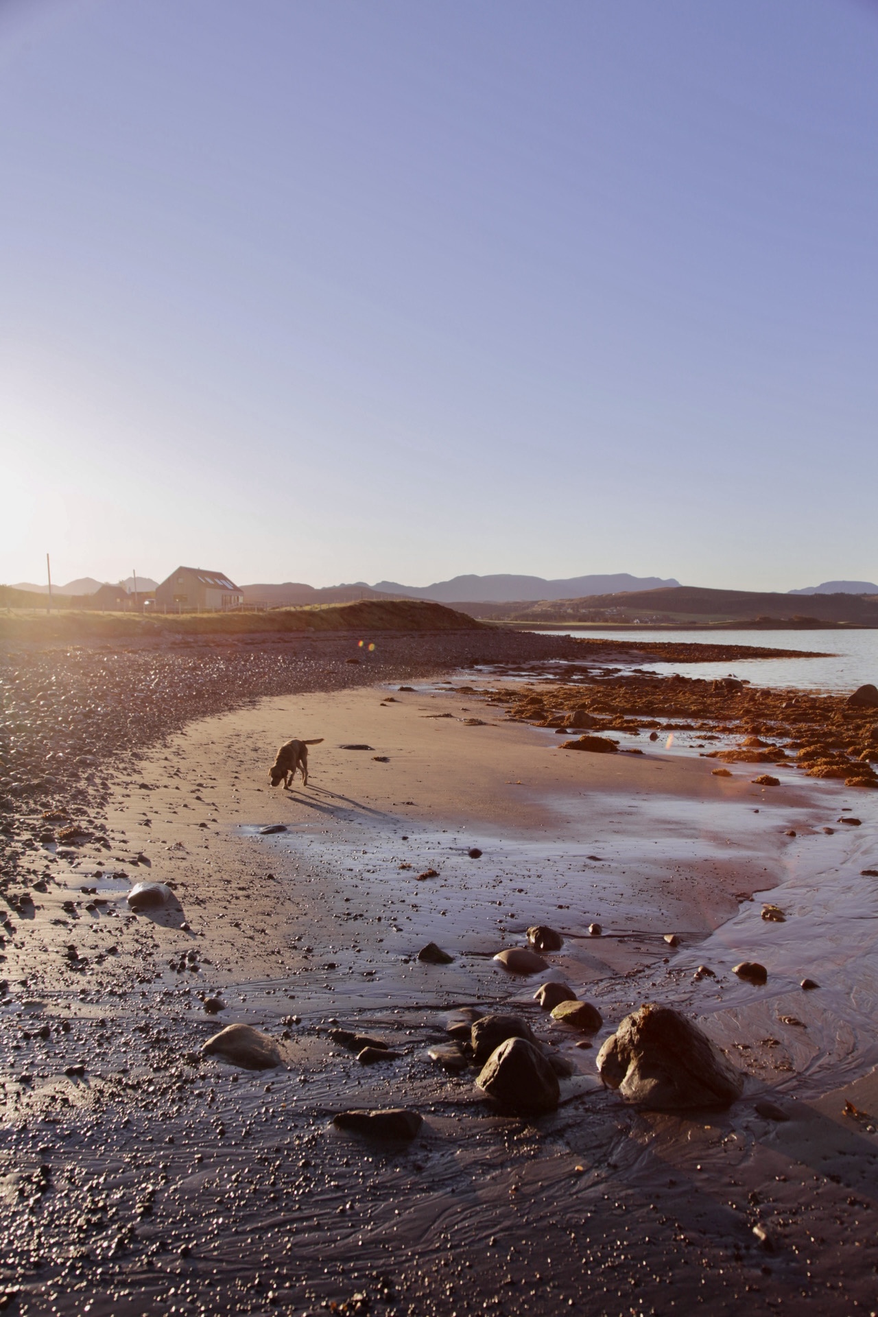 Rudi on the beach at Ormiscaig